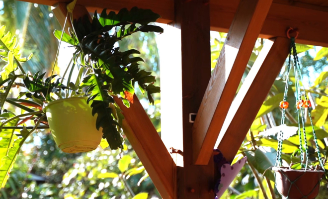 Charpente traditionnelle agrandissement bois